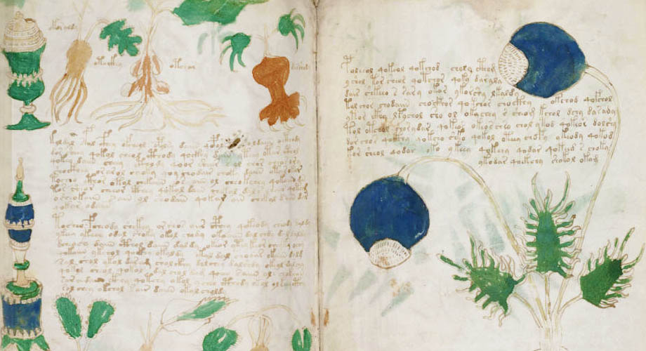 voynich-manuscript-main.jpg