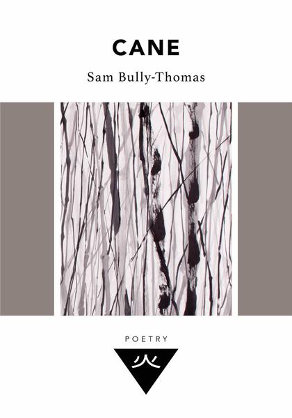 Wundor_Poetry_Paperback_Design_-_Cane_grande