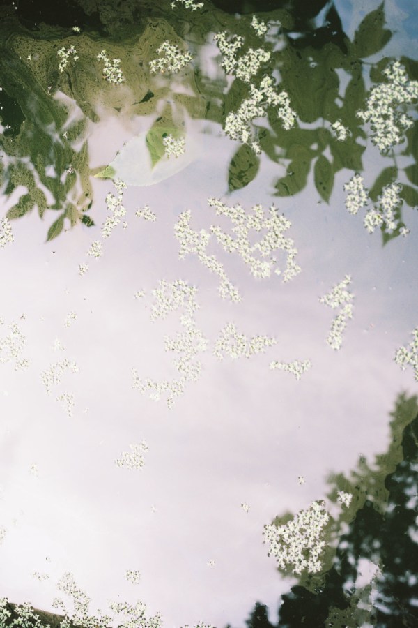 Untitled – Haven 2018